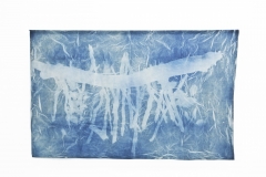 Carlisle Beaver Pond