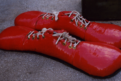 19_19clownshoes
