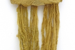 Mata-negra-de-Vicuna_web