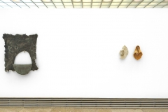 fortaleza-schrattenbergei-kirschbaumflechte