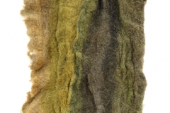 goldenrod-all-ways_web