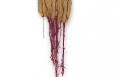 musgo-y-liquenes-de-lenga-con-pokeberry