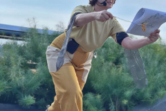 goldenrod_transect_4_jb