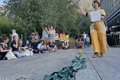 goldenrod_transect_perf2_zt_web