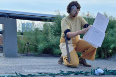 goldenrod_transect_performance_3_jb