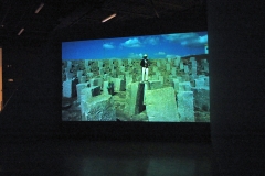 33_33corrected-gast-video