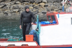 3 Scallop Diver_preview