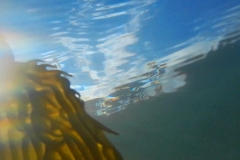 4 Underwater_preview