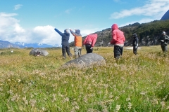 5 Interspecies Communication_preview