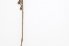 37_37christy-gast-walkabout-web