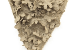 37_37christy-gast-weekiwachee-web