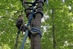 treetopping-arborist-2